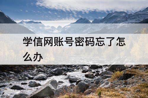 学信网账号密码忘了怎么办