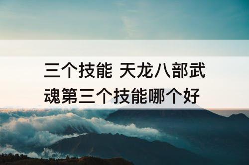 三个技能 天龙八部武魂第三个技能哪个好