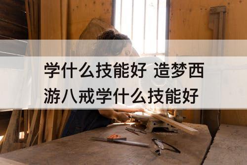 学什么技能好 造梦西游八戒学什么技能好