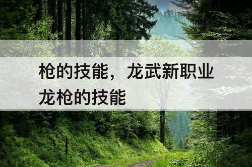 枪的技能，龙武新职业龙枪的技能