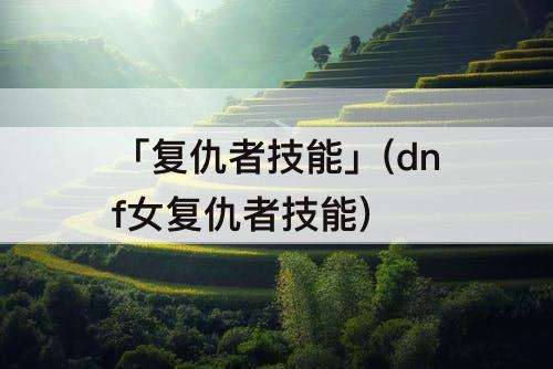 「复仇者技能」(dnf女复仇者技能)