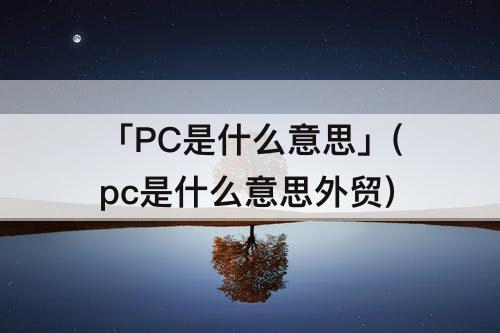 「PC是什么意思」(pc是什么意思外贸)