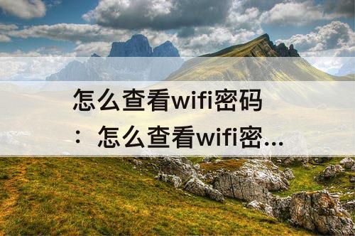 怎么查看wifi密码：怎么查看wifi密码华为4g