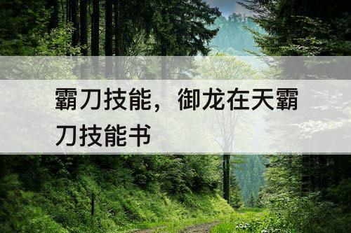 霸刀技能，御龙在天霸刀技能书