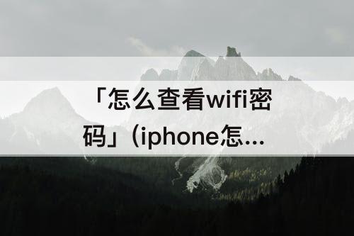 「怎么查看wifi密码」(iphone怎么查看wifi密码给朋友)