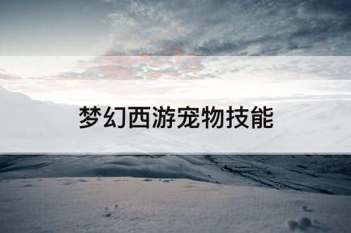 梦幻西游宠物技能