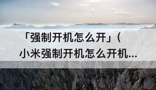 「强制开机怎么开」(小米强制开机怎么开机)
