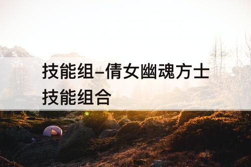 技能组-倩女幽魂方士技能组合