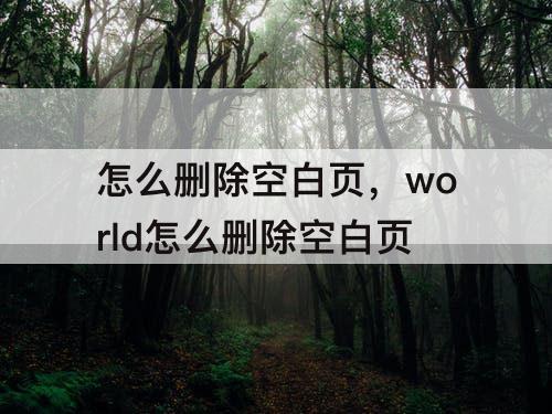 怎么删除空白页，world怎么删除空白页