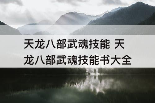 天龙八部武魂技能 天龙八部武魂技能书大全