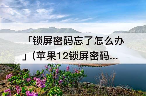 「锁屏密码忘了怎么办」(苹果12锁屏密码忘了怎么办)