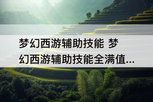 梦幻西游辅助技能 梦幻西游辅助技能全满值钱吗