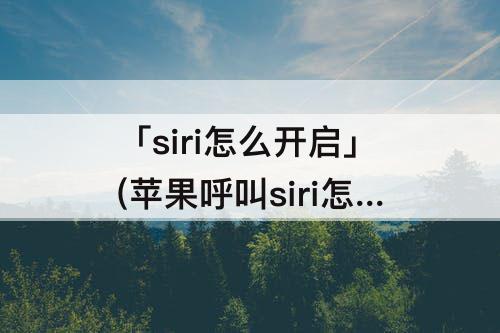 「siri怎么开启」(苹果呼叫siri怎么开启)