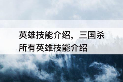 英雄技能介绍，三国杀所有英雄技能介绍
