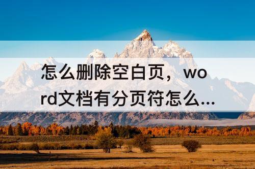 怎么删除空白页，word文档有分页符怎么删除空白页
