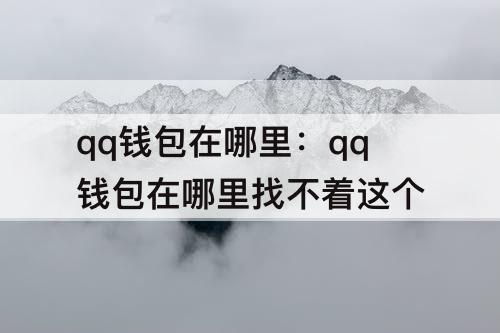 qq钱包在哪里：qq钱包在哪里找不着这个
