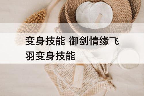 变身技能 御剑情缘飞羽变身技能