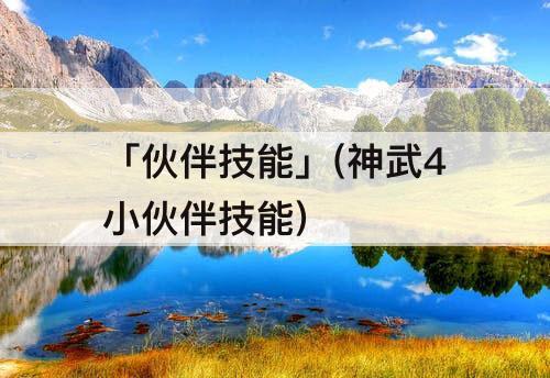 「伙伴技能」(神武4小伙伴技能)