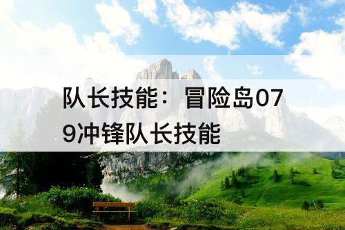 队长技能：冒险岛079冲锋队长技能