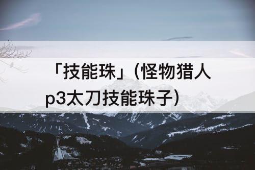 「技能珠」(怪物猎人p3太刀技能珠子)