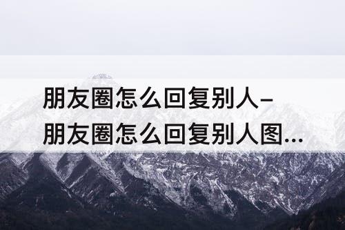 朋友圈怎么回复别人-朋友圈怎么回复别人图片