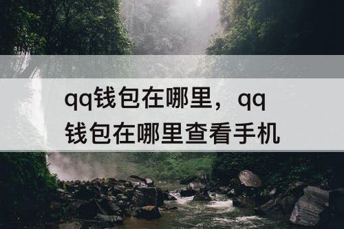 qq钱包在哪里，qq钱包在哪里查看手机