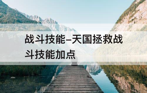 战斗技能-天国拯救战斗技能加点