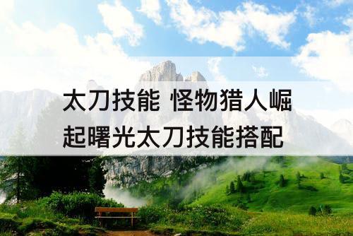 太刀技能 怪物猎人崛起曙光太刀技能搭配