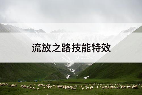 流放之路技能特效