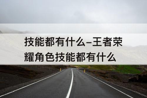 技能都有什么-王者荣耀角色技能都有什么