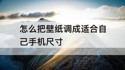 怎么把壁纸调成适合自己手机尺寸