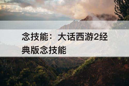 念技能：大话西游2经典版念技能