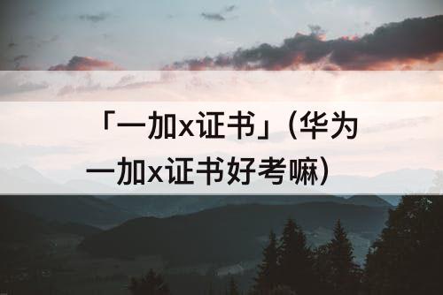 「一加x证书」(华为一加x证书好考嘛)
