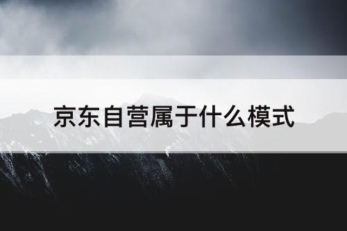 京东自营属于什么模式