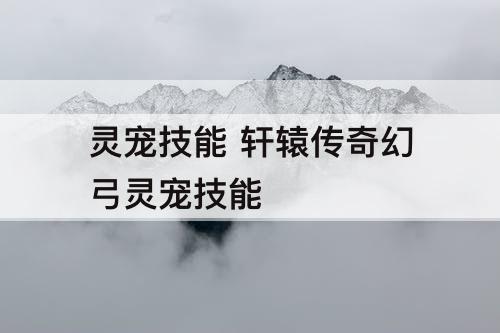 灵宠技能 轩辕传奇幻弓灵宠技能