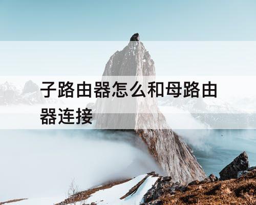 子路由器怎么和母路由器连接