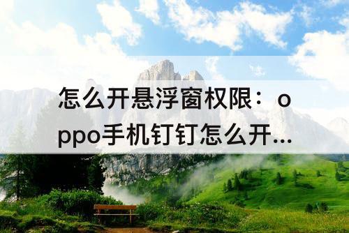 怎么开悬浮窗权限：oppo手机钉钉怎么开悬浮窗权限
