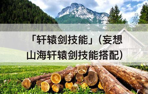 「轩辕剑技能」(妄想山海轩辕剑技能搭配)