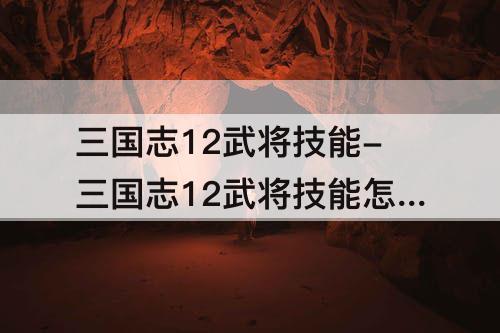 三国志12武将技能-三国志12武将技能怎么用