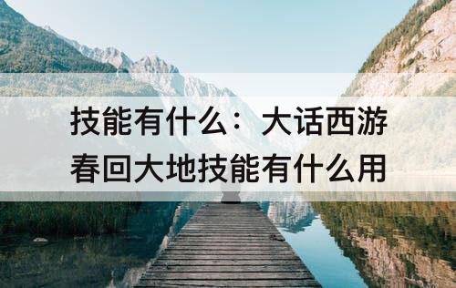 技能有什么：大话西游春回大地技能有什么用