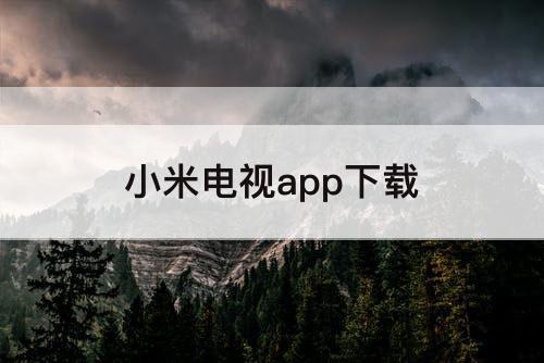 小米电视app下载
