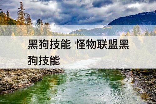 黑狗技能 怪物联盟黑狗技能