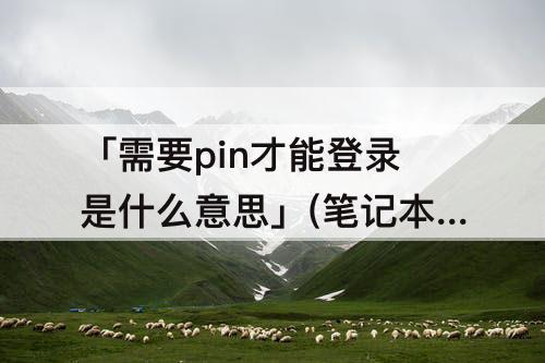 「需要pin才能登录是什么意思」(笔记本需要pin才能登录是什么意思)