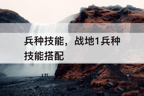 兵种技能，战地1兵种技能搭配