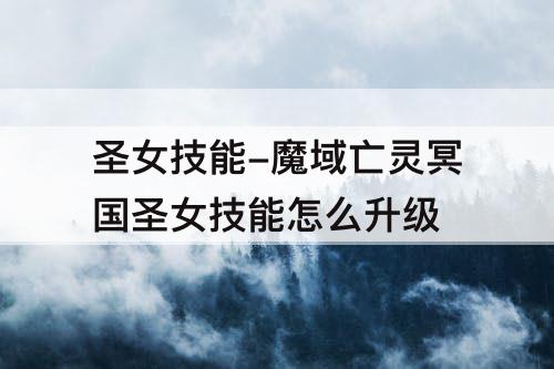圣女技能-魔域亡灵冥国圣女技能怎么升级