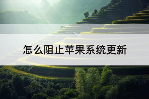 怎么阻止苹果系统更新