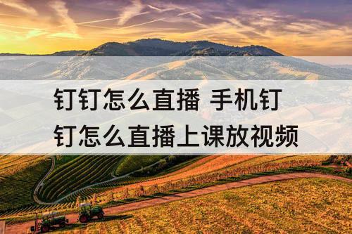 钉钉怎么直播 手机钉钉怎么直播上课放视频
