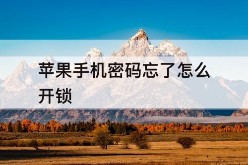 苹果手机密码忘了怎么开锁