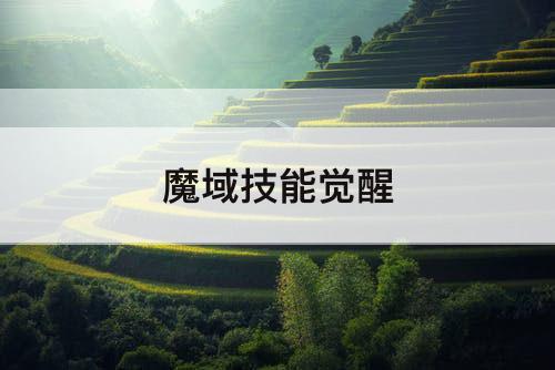 魔域技能觉醒