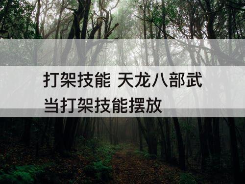 打架技能 天龙八部武当打架技能摆放